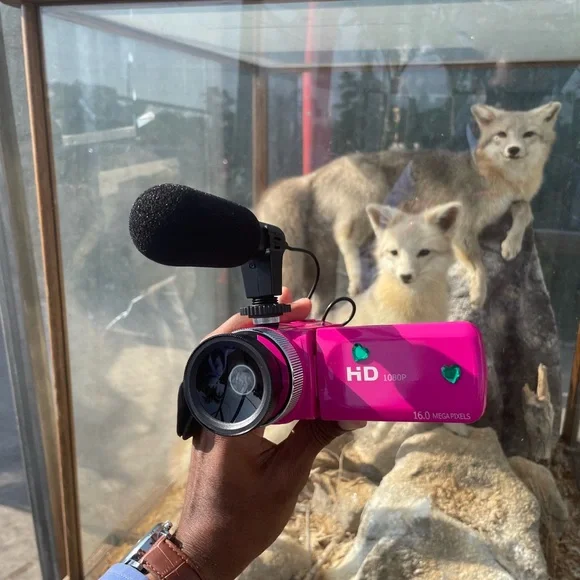 Rare Pink HD 16 MP camcorder with Microphone, 32 GB sd card and Fish eye Lens